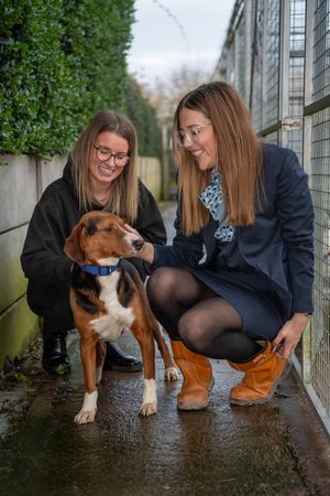 Sales Advisor Darcy meeting the dogs of Brighter Days Rescue