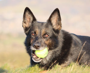 Keach in now enjoying retirement