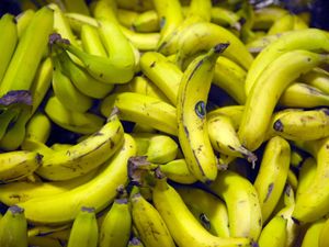 Bananas in a pile