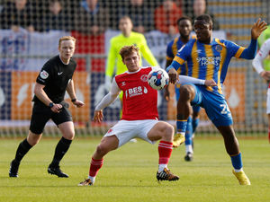 Supporting image for story: Steve Cotterill praises Shrewsbury loan signings for 'buying into the club'