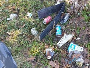 Supporting image for story: Council team start clean-up on litter hit bypass in Tamworth  