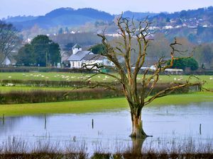 Supporting image for story: Flood alerts in place on Shropshire and Mid Wales border after heavy rainfall
