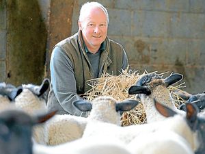 Supporting image for story: Mixed reaction as farmers could be paid up to £100,000 to retire