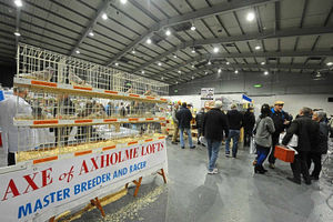 Visitors enjoy the annual event which proves a big draw