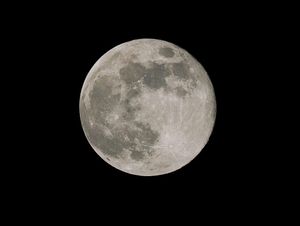 Taken over Greenfields by Rhys Perry