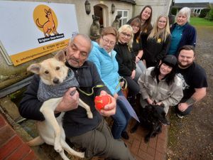 Supporting image for story: Inside the rescue saving dogs from inhumane conditions abroad 