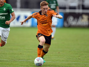 Supporting image for story: Connor Ronan eyes big year at Wolves
