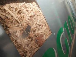 Supporting image for story: Letter: Bishop's Castle biomass bid had the chance