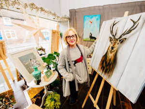Supporting image for story: The Force is strong with this one: Star Wars artist sets up Bridgnorth gallery