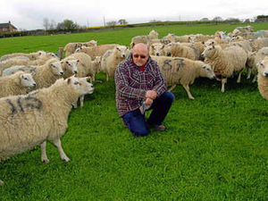 Supporting image for story: Leader: What kind of person kills 50 lambs?
