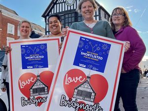 Supporting image for story: Bridgnorth hailed a 'rising star' of British retail after award nomination 
