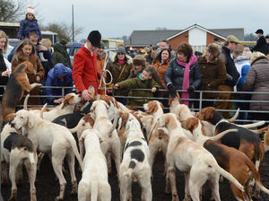 Supporting image for story: Boxing Day hunts draw crowds in Shropshire and Stourbridge despite rain