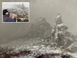 Supporting image for story: England cricket legend reveals latest painting of Shropshire beauty spot and explains his fondness for county