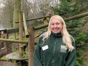 Laura said it's a pleasure to have both of the adorable pandas at the zoo 