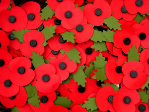 Supporting image for story: Still time to support poppy appeal, say organisers