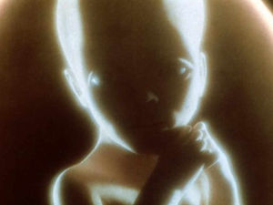 Supporting image for story: Review: 2001: A Space Odyssey, Philharmonia Orchestra Symphony Hall, Birmingham