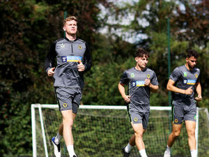 Supporting image for story: Crystal Palace v Wolves preview: Returning Nathan Collins will bring leadership, believes Steve Davis