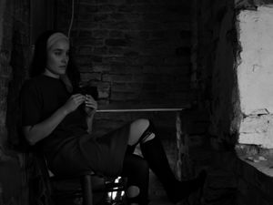 Supporting image for story: Chilling thriller classic 'The Birds' coming to Bridgnorth's Theatre on the Steps