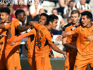 Supporting image for story: Newcastle 0 Wolves 2 - player ratings