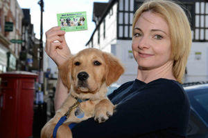 Supporting image for story: Bridgnorth bidding to become most dog-friendly town in Britain