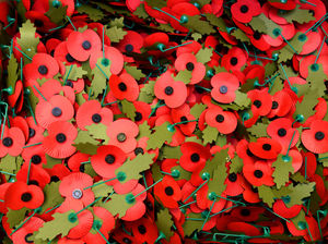 Supporting image for story: Inside the poppy factory: Jobs gave us purpose again