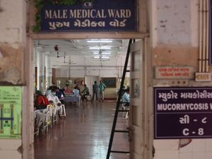 Supporting image for story: India battles fatal black fungus threat as coronavirus deaths approach 300,000