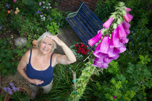 Supporting image for story: Janet's foxed by 8ft tall foxglove