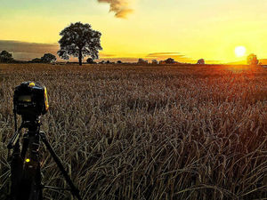 Supporting image for story: Sun refuses to set on the Shropshire summer
