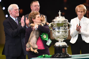 Maisie the Wire-haired Dachshund winner of Best in Show 2020 at the Birmingham National with her owner Kim McCalmont and presenter Peter Purvis (left) at the Exhibition Centre (NEC) during the Crufts Dog Show