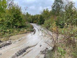 Story: Walsall woodland created to celebrate Queen’s Jubilee under threat
Photo taken by LDR Rachel Alexander October 2024 
Permission for use for LDR partners 
Reedswood Park, Walsall 