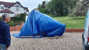 Clarion tucked up in bed for the night