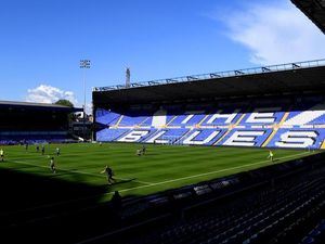 Supporting image for story: Wolves draw with Birmingham City in final friendly 