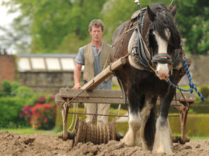 Supporting image for story: Power lines to go at Shropshire beauty spot