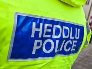 Supporting image for story: Police gave drunken thief a lift home but grew suspicious during the journey