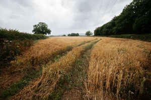Squirrel Lane, near Ludlow, where another solar farm has been given the go-ahead