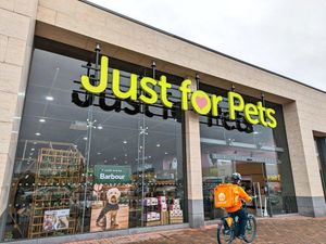 Supporting image for story: Just for Pets partner with Just Eat to offer 50% off Christmas products