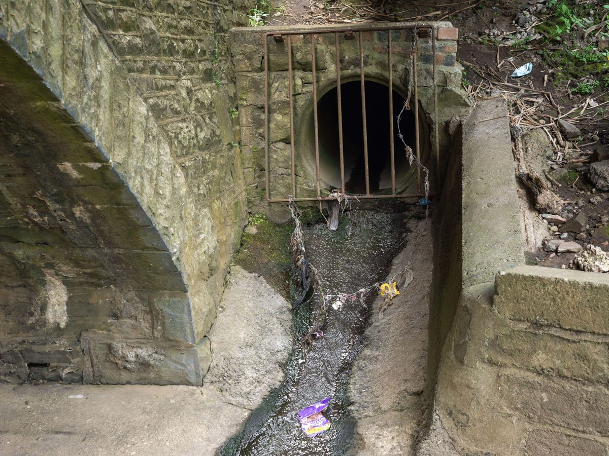 Water firms&rsquo; environmental performance sinks as serious pollution cases up 60%