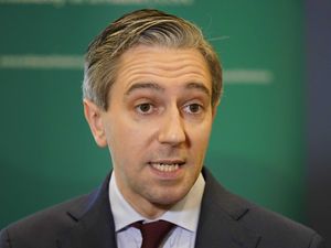 Supporting image for story: Taoiseach says he expects general election to be held in 2024