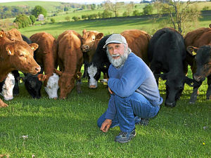 Supporting image for story: Farming chiefs back badger cull decision