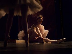 Supporting image for story: The hidden world behind The Sleeping Beauty pictured at Birmingham Hippodrome