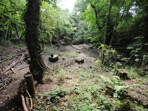 Supporting image for story: Fury over plan to build homes on Saltwells Nature Reserve