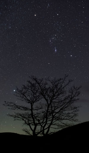 Rob Davies. Elan Valley Trust