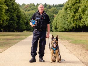 Supporting image for story: Retired police dog shot three times in the face wins lifetime award