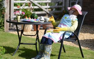 One of the scarecrows