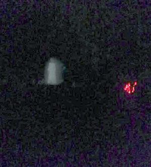 The ghostly apparition of Madam Pigott