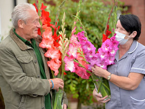 Supporting image for story: Mick's blooms bring smiles to care home