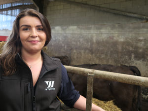 Supporting image for story: Make room for rumen improvement