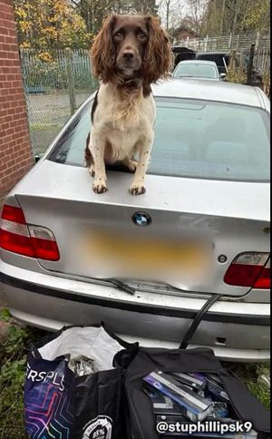 Griff sat on the back of the vehicle (Credit:  Stu Phillips K9/Wolverhampton Council)