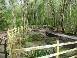 Supporting image for story: Eight initiatives in Shropshire awarded more than £70,000