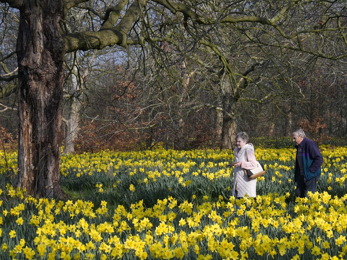 Temperatures hit record high so far this year